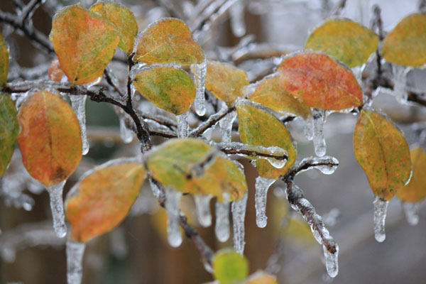 Photo Slideshow: Hockaday on Ice