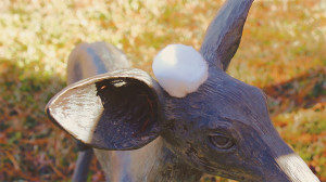 COTTON TAIL  An innocent cotton ball attempts to befriend the solitary Hockaday deer statues. PHOTO BY WHITNEY MIDDLEKAUFF