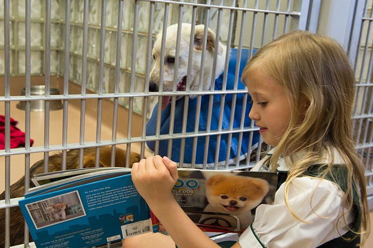 Students Soothe Dogs with Stories