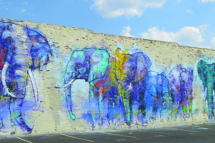 Arts in DFW: Murals