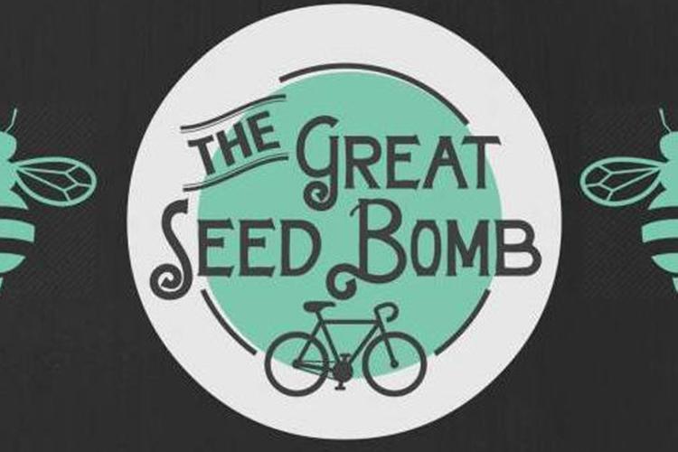 Hockaday+Students+Organize+The+Great+Seed+Bomb+Through+ZooCorps