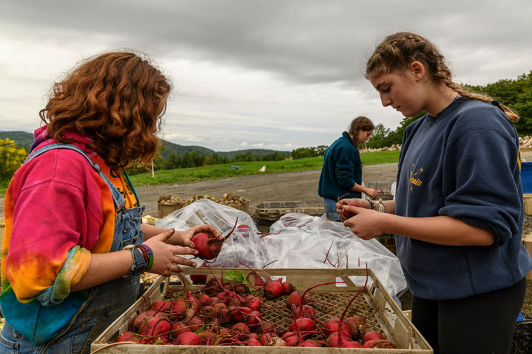 From Farm to Classroom