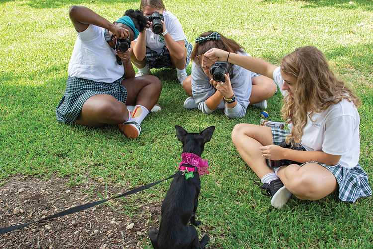 Paws for a Cause: Photography and Service