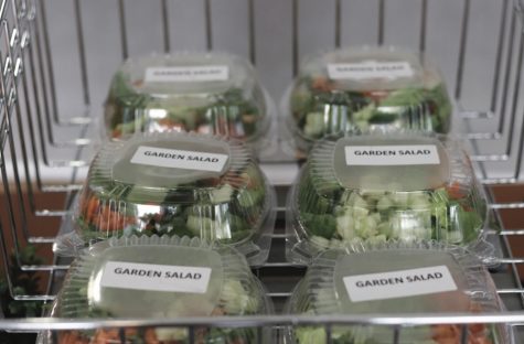 Packaged lunches stay safe from germs but increase plastic waste. photo by Juliana Blazek.