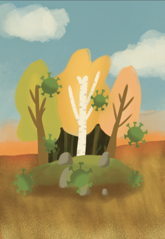 Graphic by Shruthi Juttu