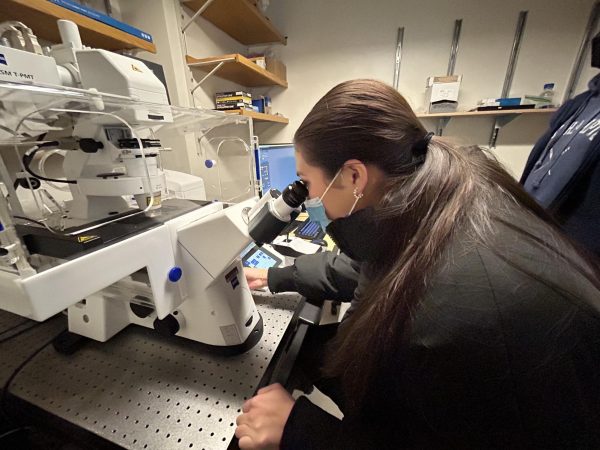 Junior Jordan Lacsamana utilizes one of MBLs confocal lens microscopes as she observes squid embryos after staining them.