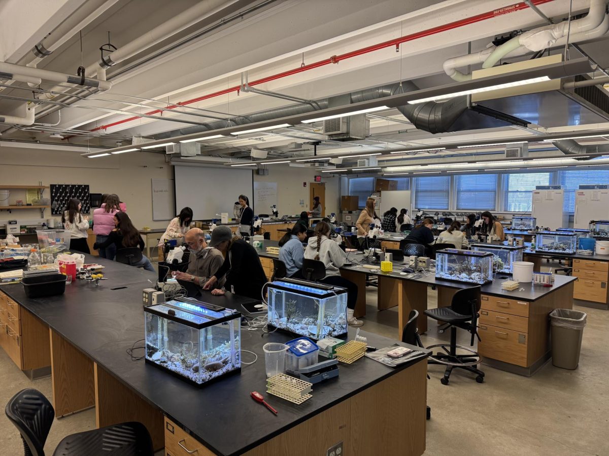 Marine Biology Students test the water quality of their aquatic tanks.