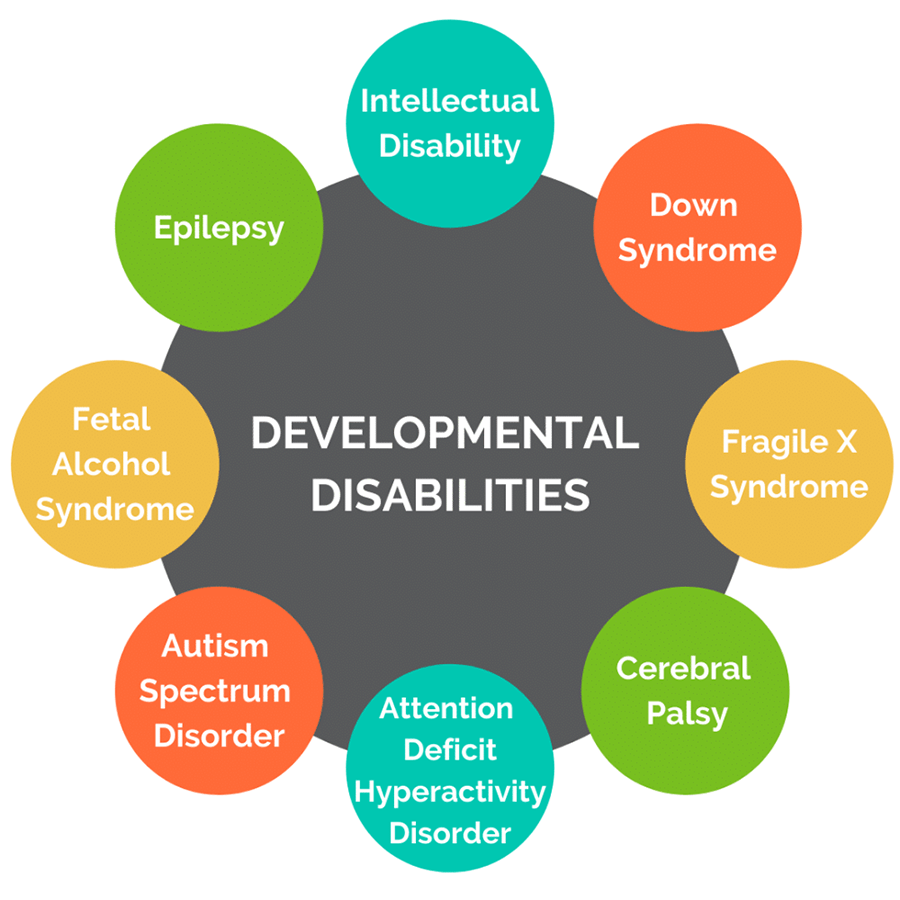 Graphic encompassing all developmental disabilities.