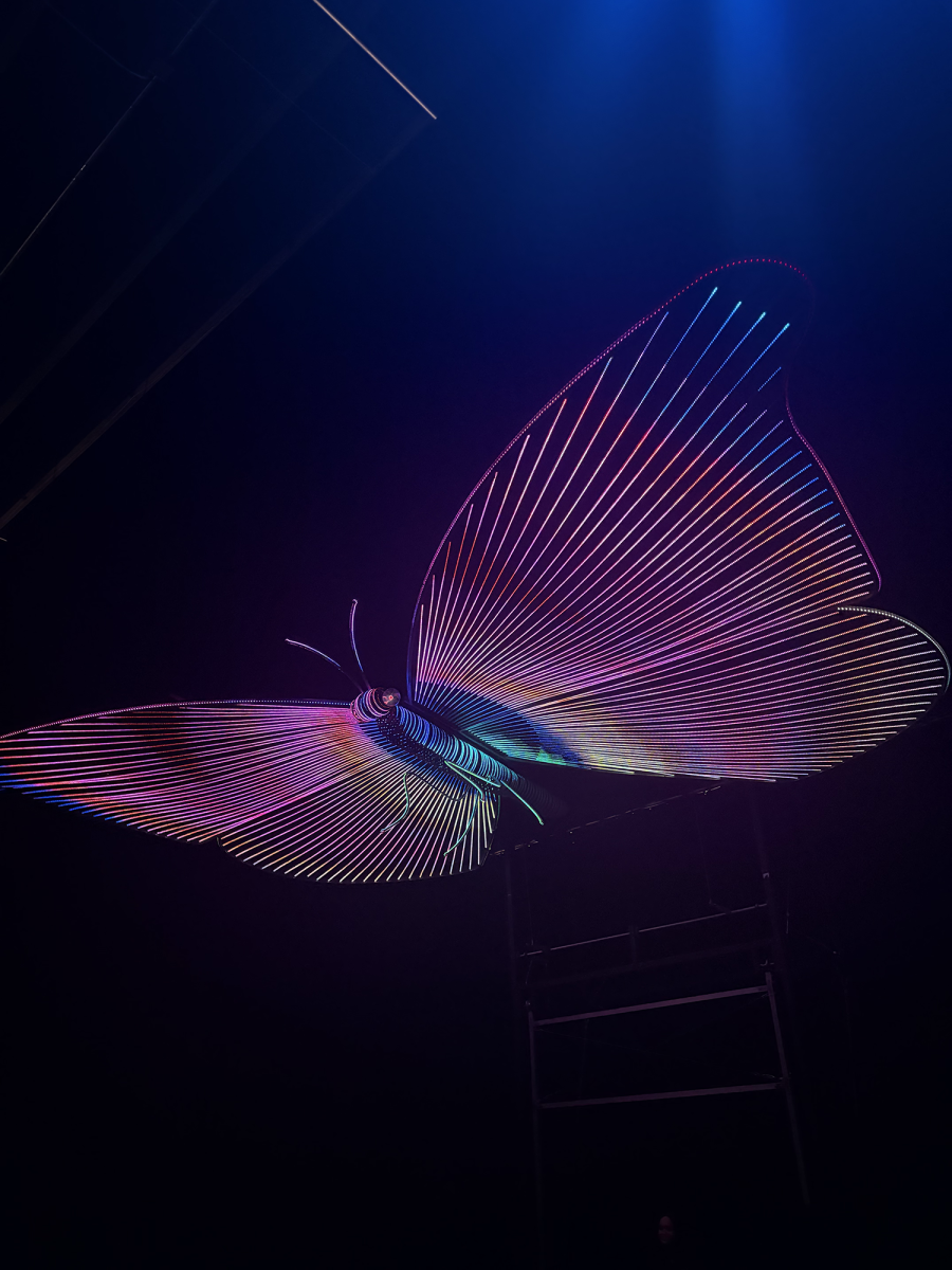 The "Mariposa" exhibition at the Balloon Museum