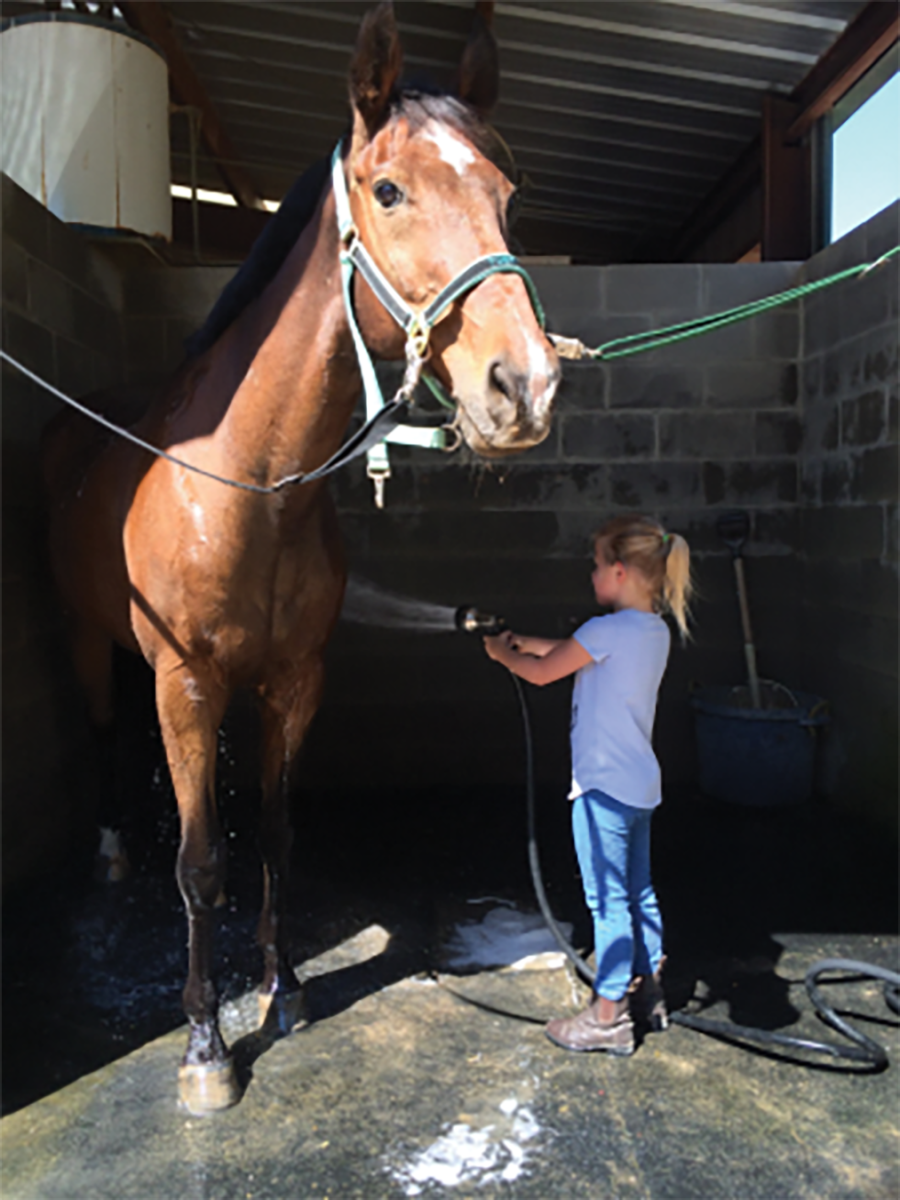 Young MK Connatser washes her horse 